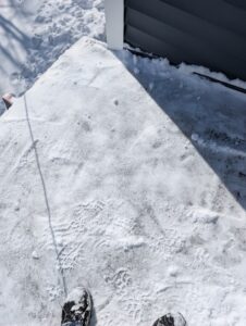 snow4